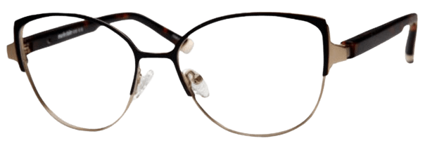 Black Tortoise